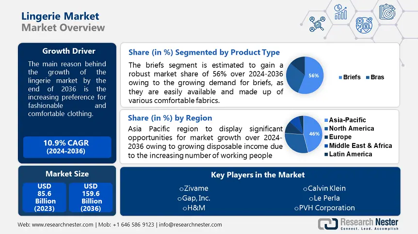 Lingerie market overview